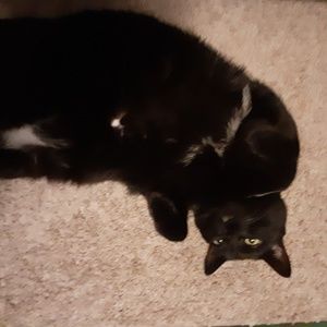 Meet your Posher, Benjamin